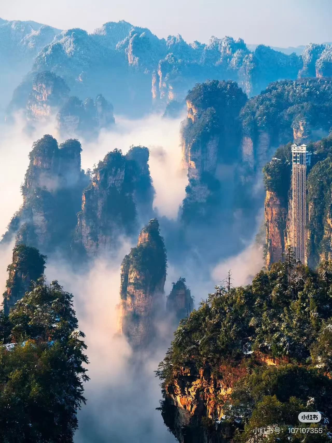 Panoramic view of the sandstone pillars at Zhangjiajie National Forest Park emerging from a sea of clouds, featuring the towering Bailong Elevator built into the side of a sheer cliff amidst misty mountain peaks.