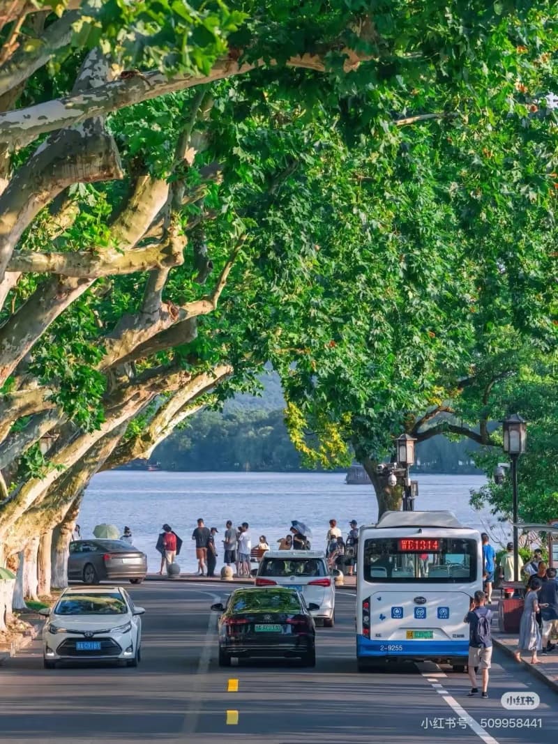 How to Explore West Lake on Foot or by Bike?