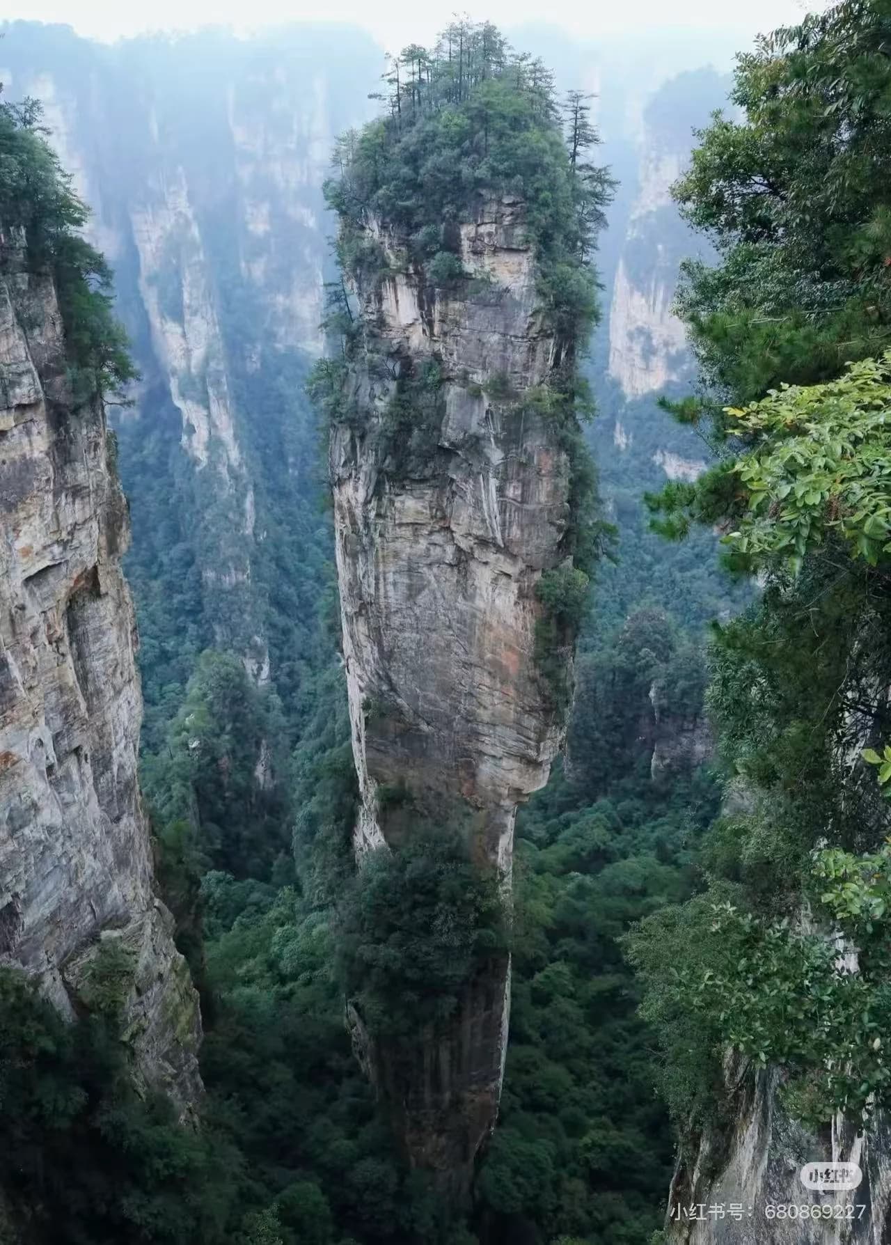 How to Explore Zhangjiajie National Forest Park?