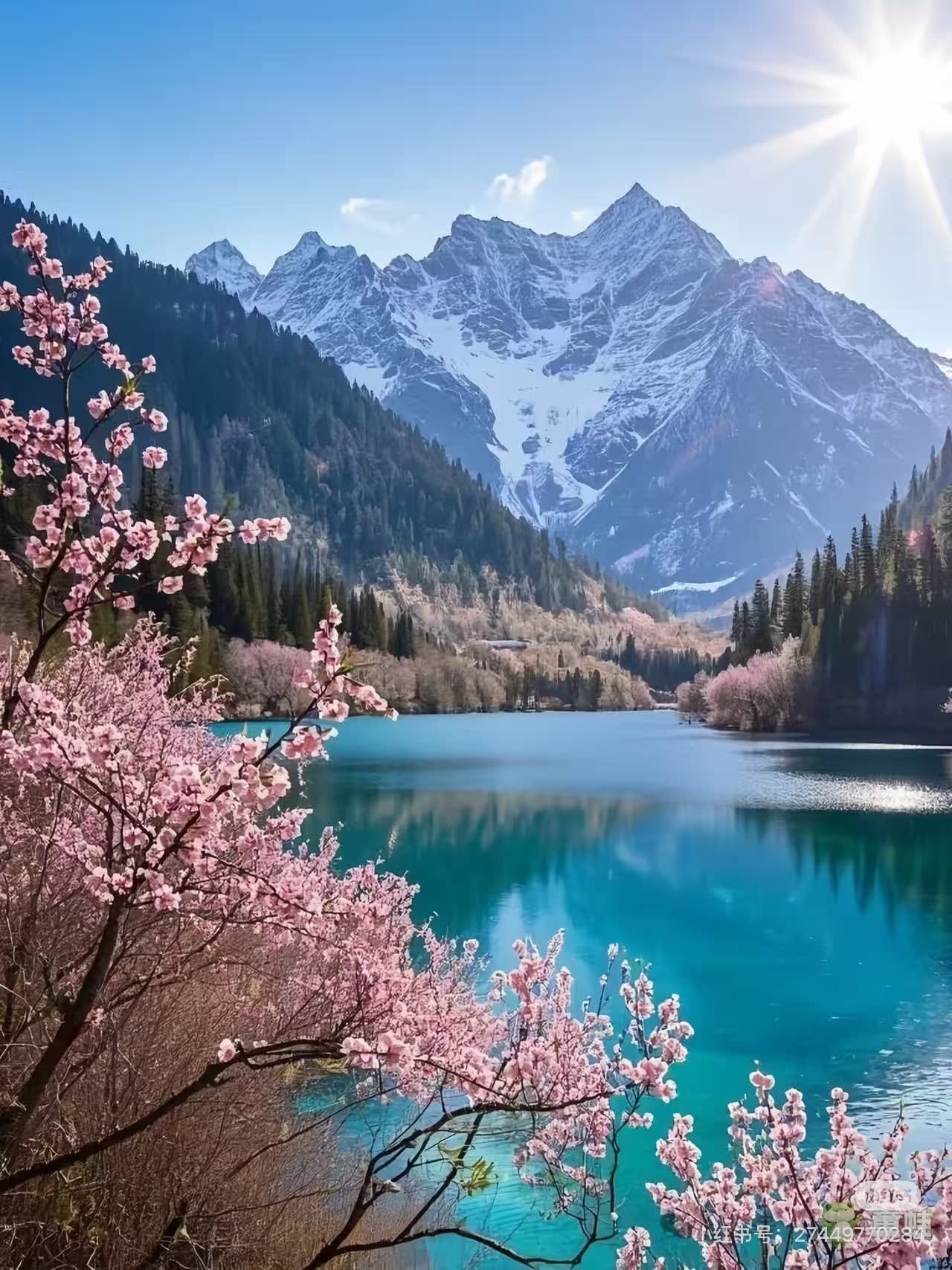 Majestic snow-capped mountains, a pristine turquoise lake, and vibrant pink cherry blossoms in a spring valley. - ChinaTripTop.