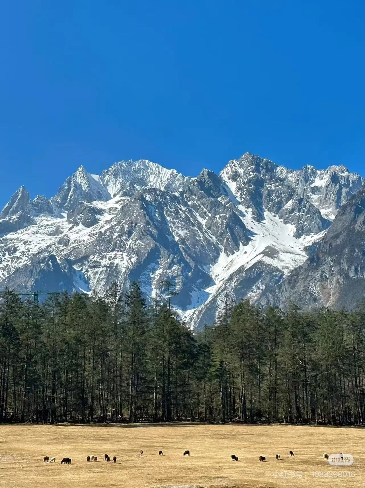 How to Prepare for Jade Dragon Snow Mountain?