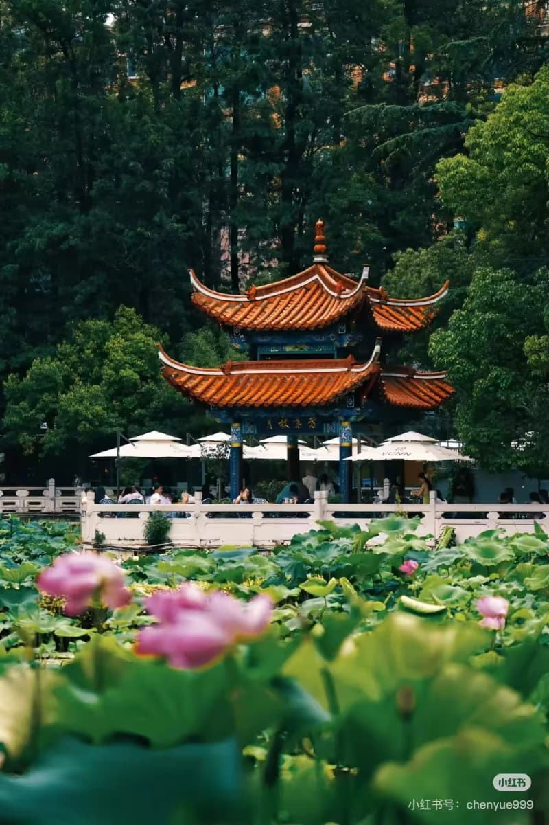 How to Spend a Relaxing Day at Green Lake in Kunming?