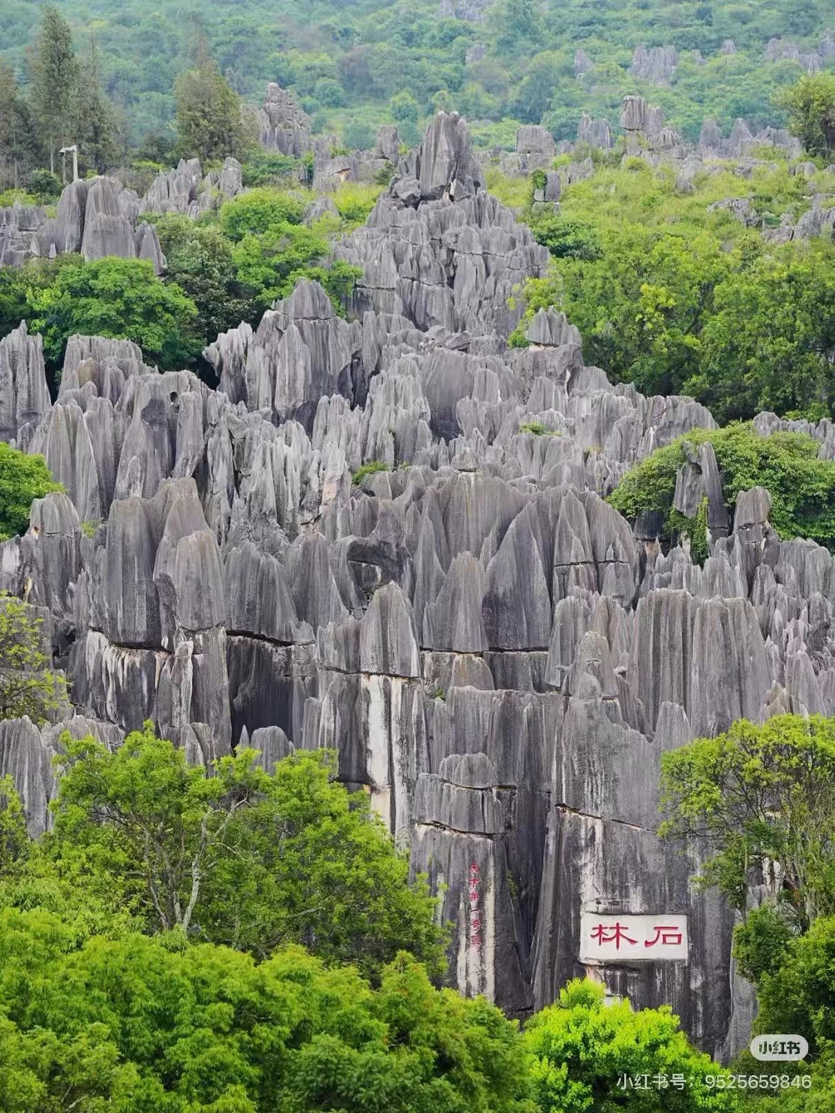 How Were the Formations at the Stone Forest Created?