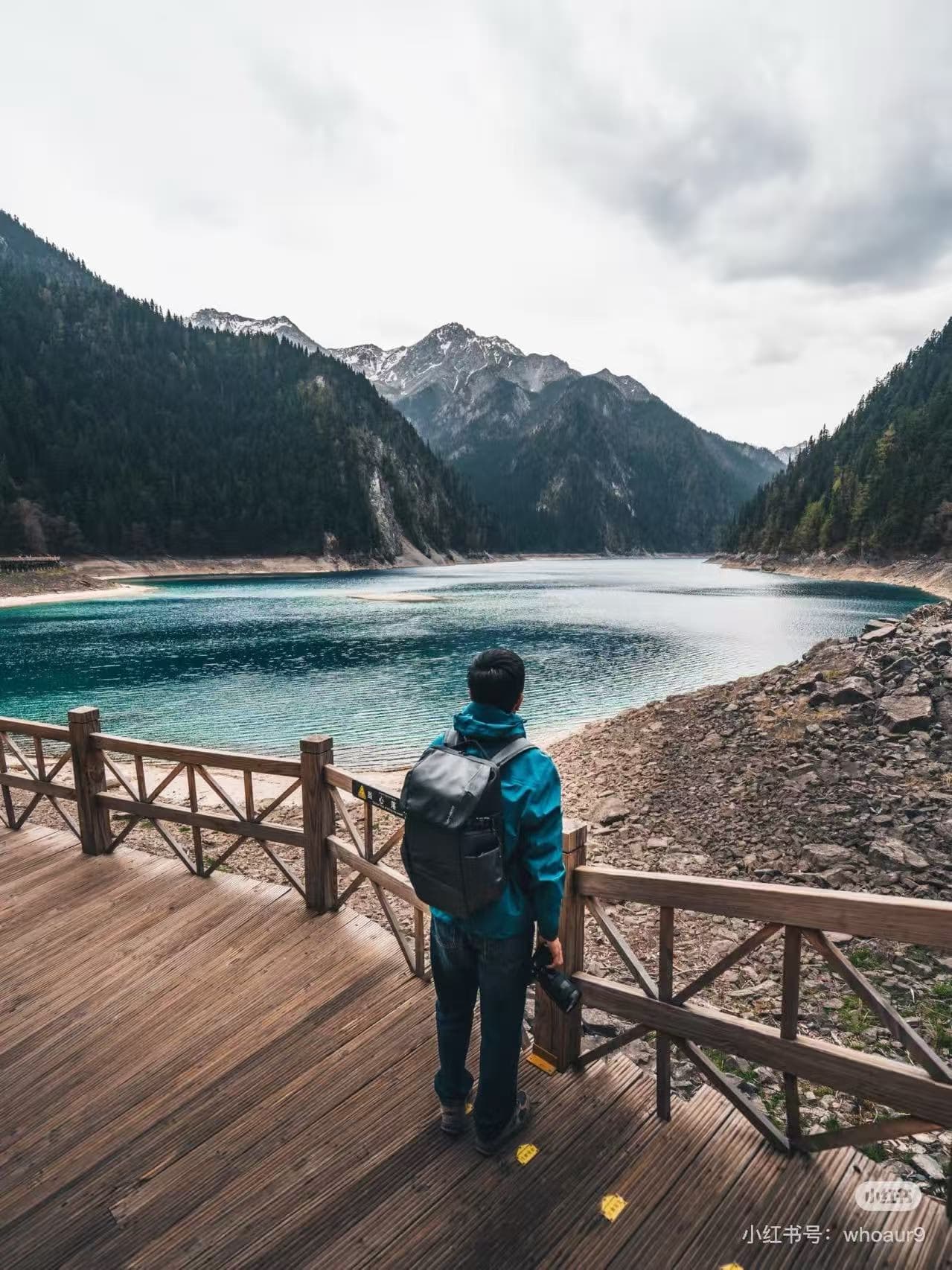 Tourist on boardwalk overlooks turquoise lake, lush mountains & snowy peaks in Jiuzhaigou. - ChinaTripTop.