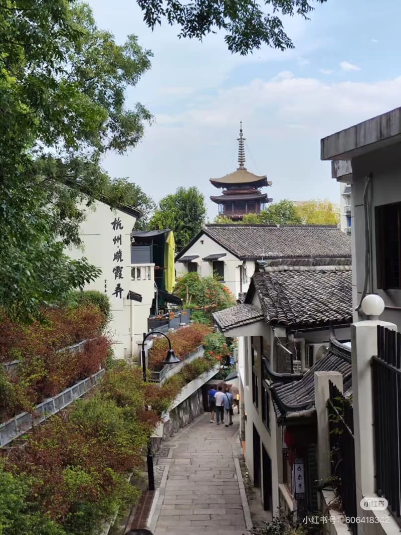 What Are the Best Snacks on Hefang Street in Hangzhou?