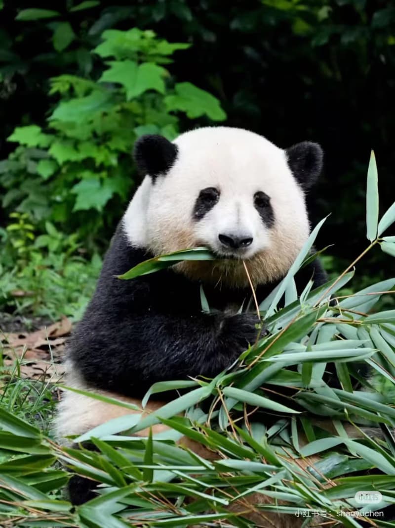 What is the Best One-Month China Itinerary for Slow Travel?