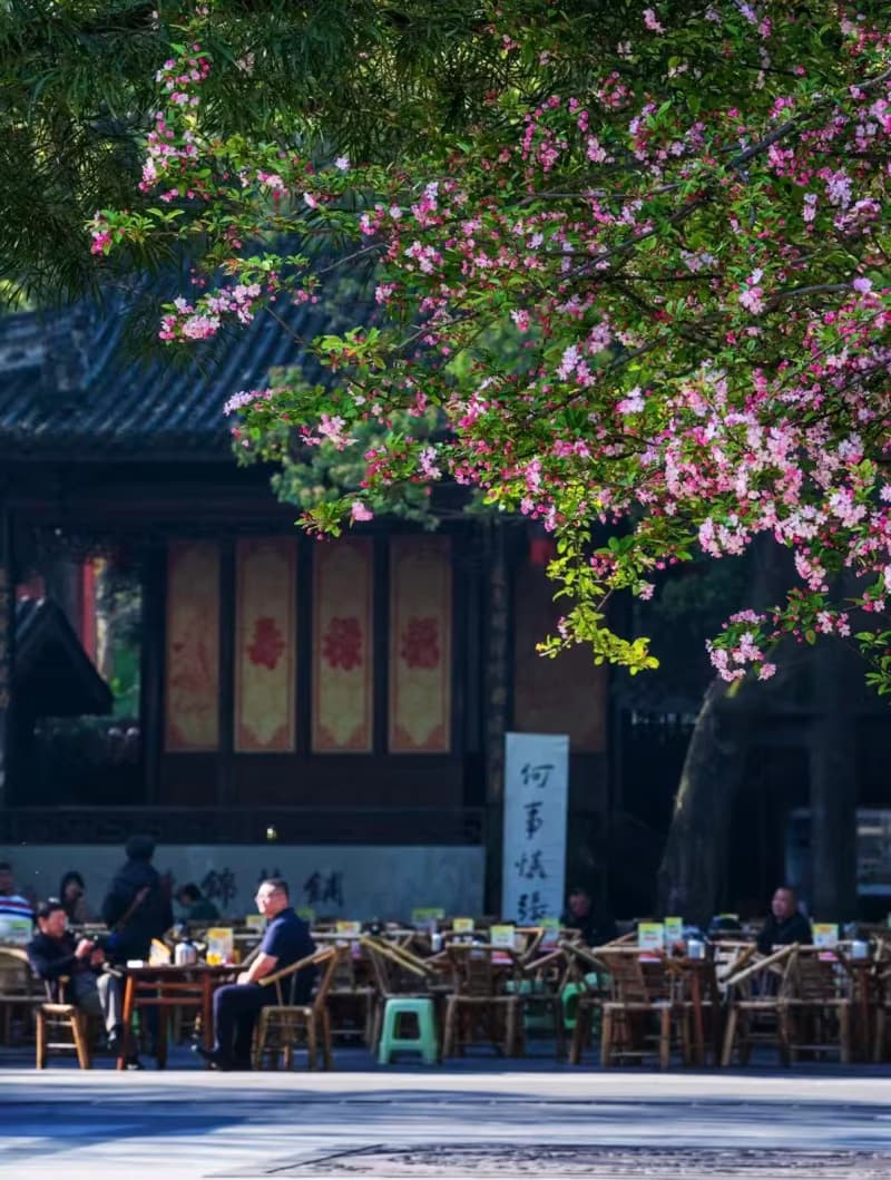 What to Do in Chengdu in Spring?