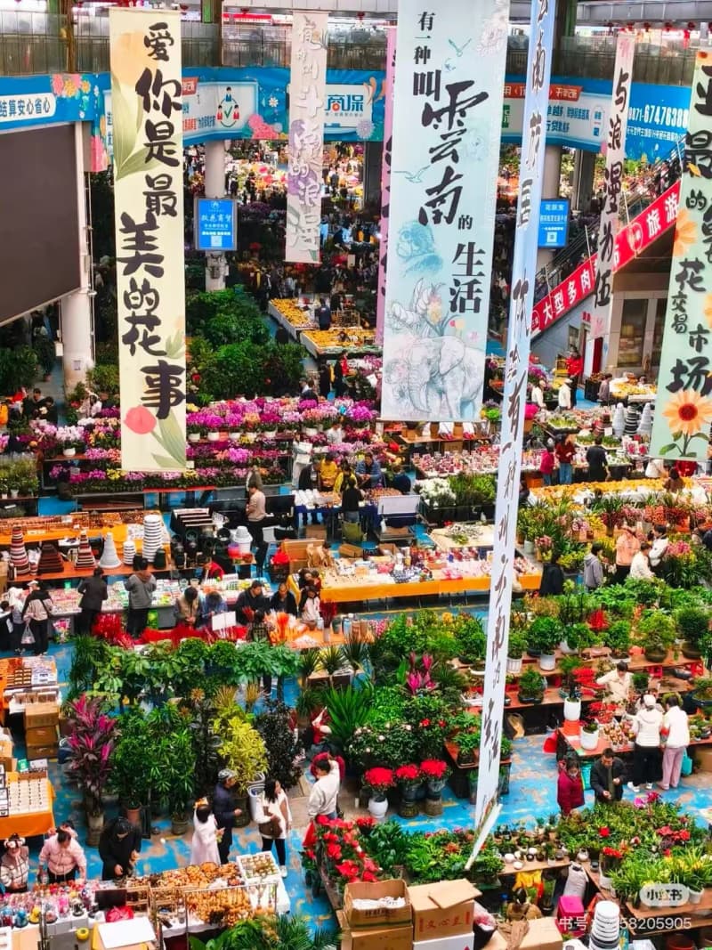What to Eat at the Dounan Flower Market in Kunming?