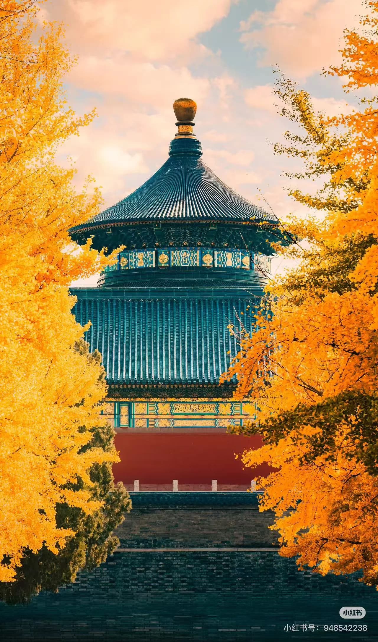 Why Visit Beijing in Autumn?