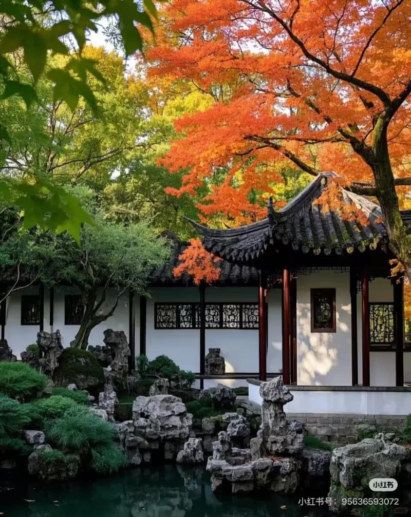 Why Visit the Humble Administrator's Garden in Suzhou?